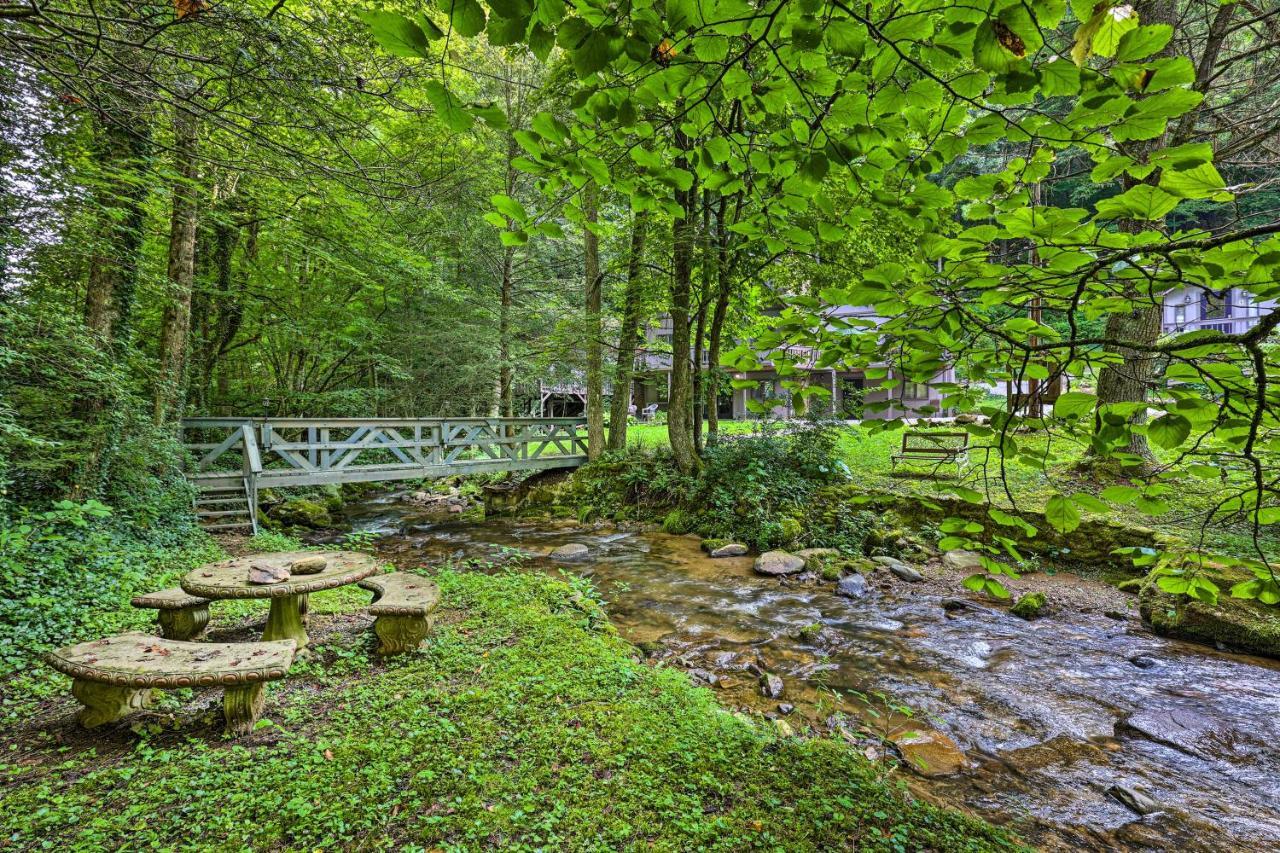 Roan Mountain Creekside Cabin Hike And Fish! المظهر الخارجي الصورة
