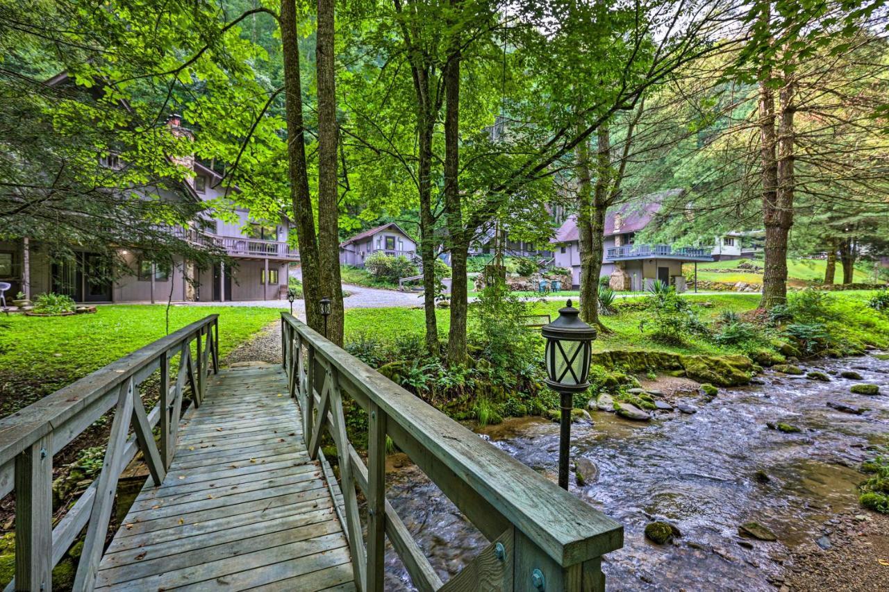Roan Mountain Creekside Cabin Hike And Fish! المظهر الخارجي الصورة