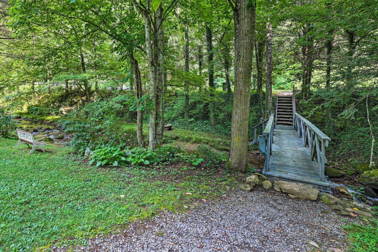 Roan Mountain Creekside Cabin Hike And Fish! المظهر الخارجي الصورة